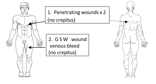 Casualty injury diagram
